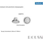 45201_jetmoon_leptomereies