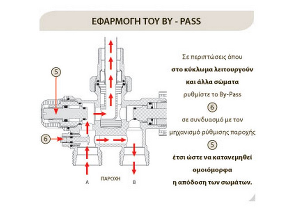 743-multi-deal-by-pass-diakoptis-isios-petsetikremastras-braa-form